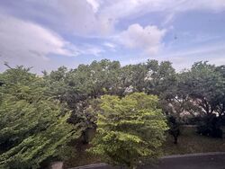 Blk 559 Jurong West Street 42 (Jurong West), HDB Executive #536191631